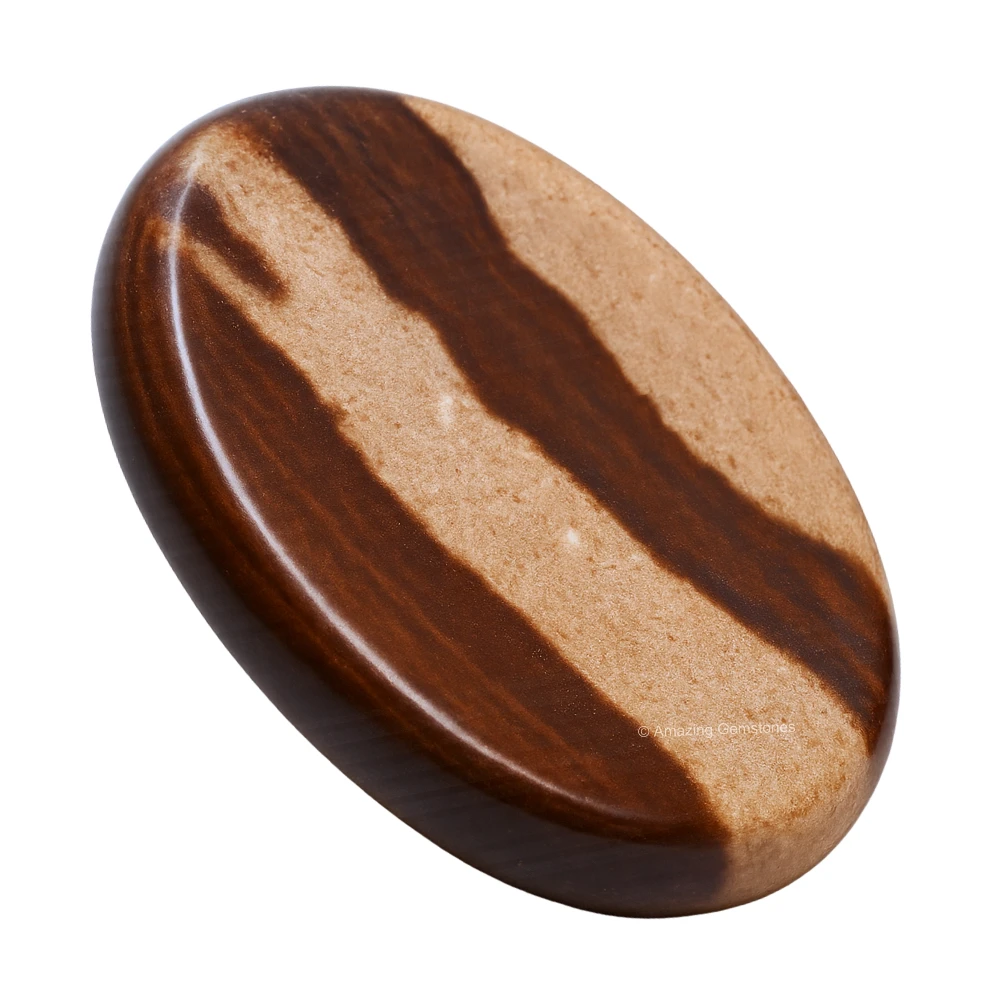 Narmada Shiva Lingam Worry Stone