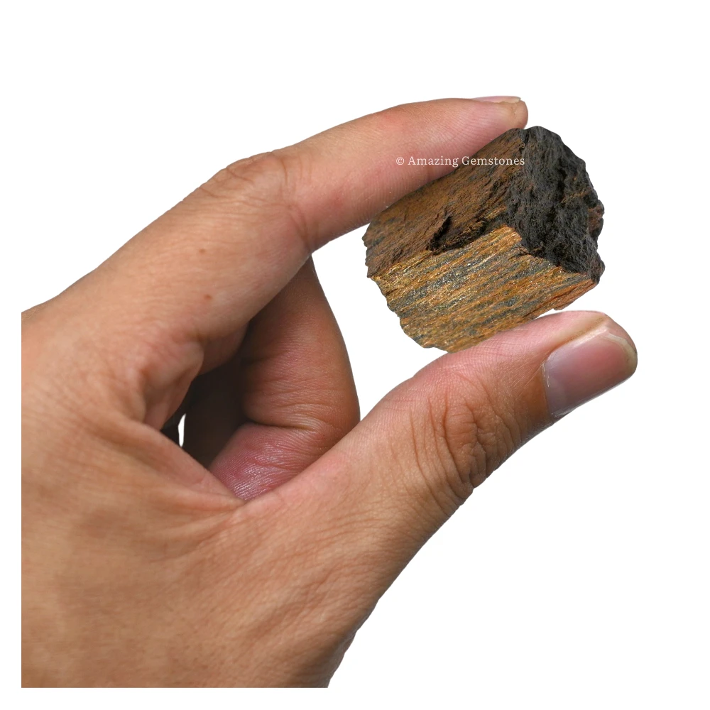 Bronzite Raw Crystals (5 Pieces)