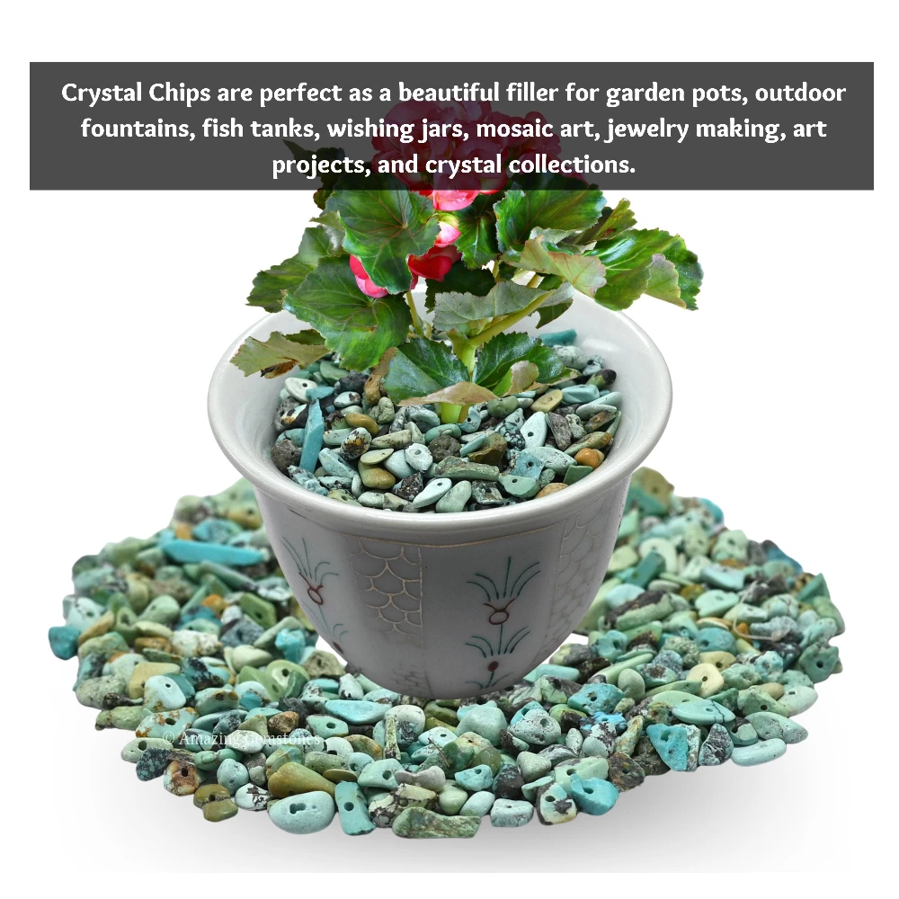 Turquoise Chips - Pre Drilled