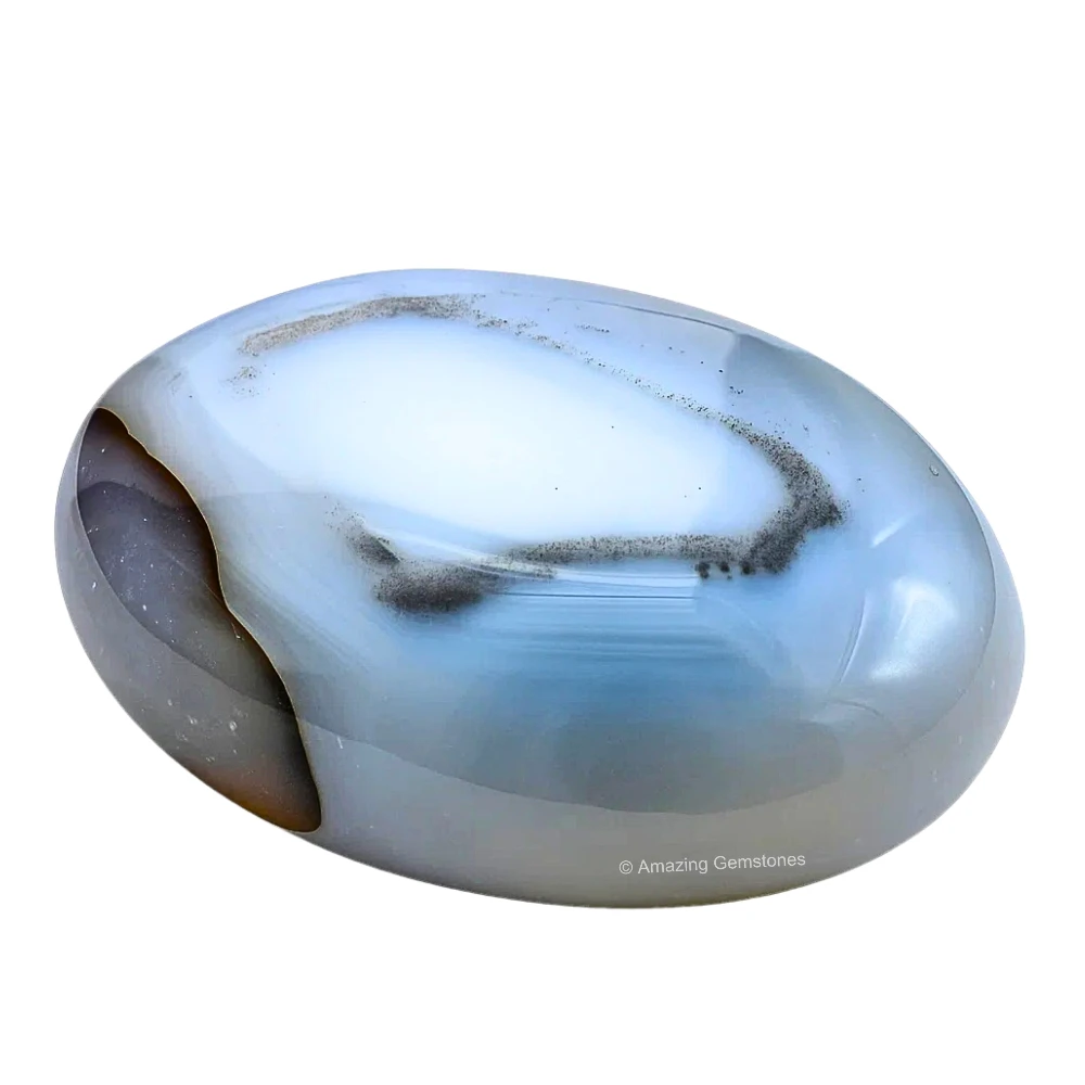 Dendrite Agate Palm Stone