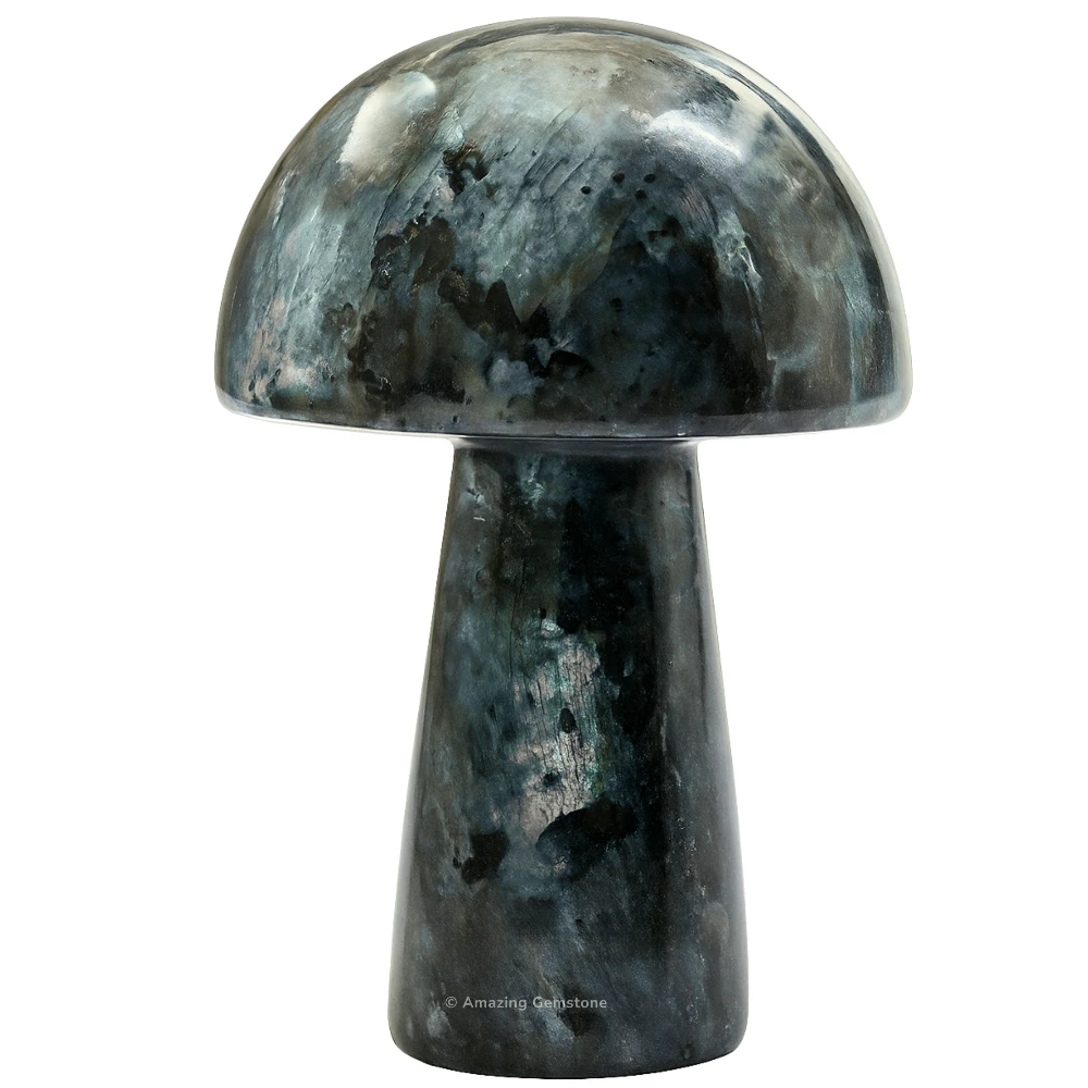 Larvikite Crystal Mushroom
