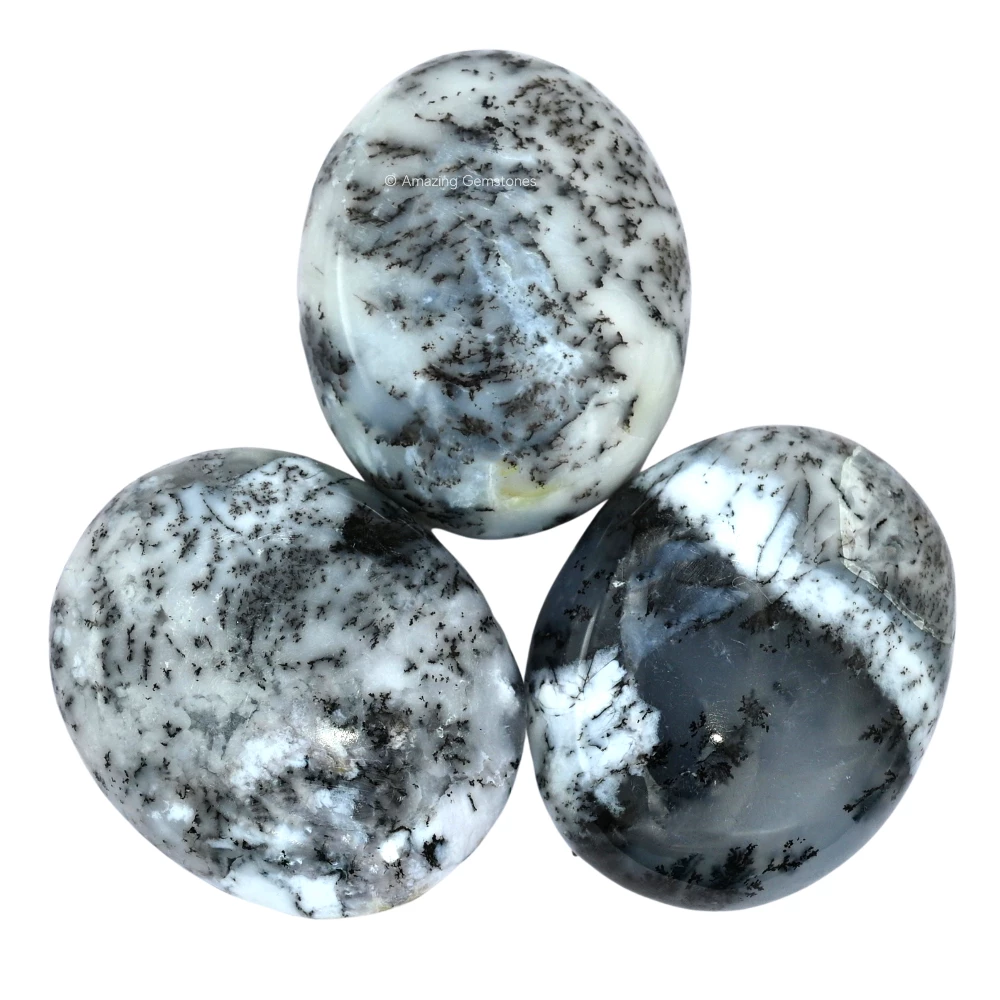 Dendrite Opal Palm Stone