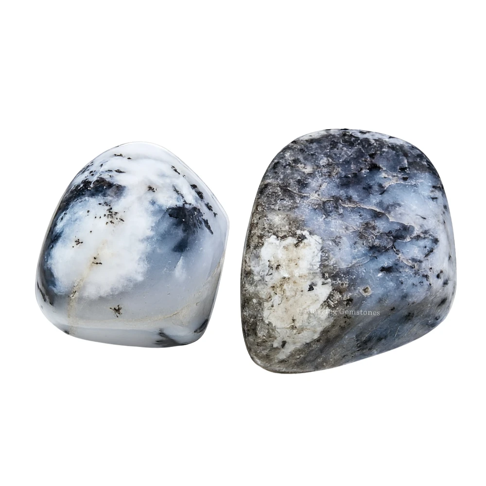 Tumbled Dendrite Opal Stone Crystals (1 oz)