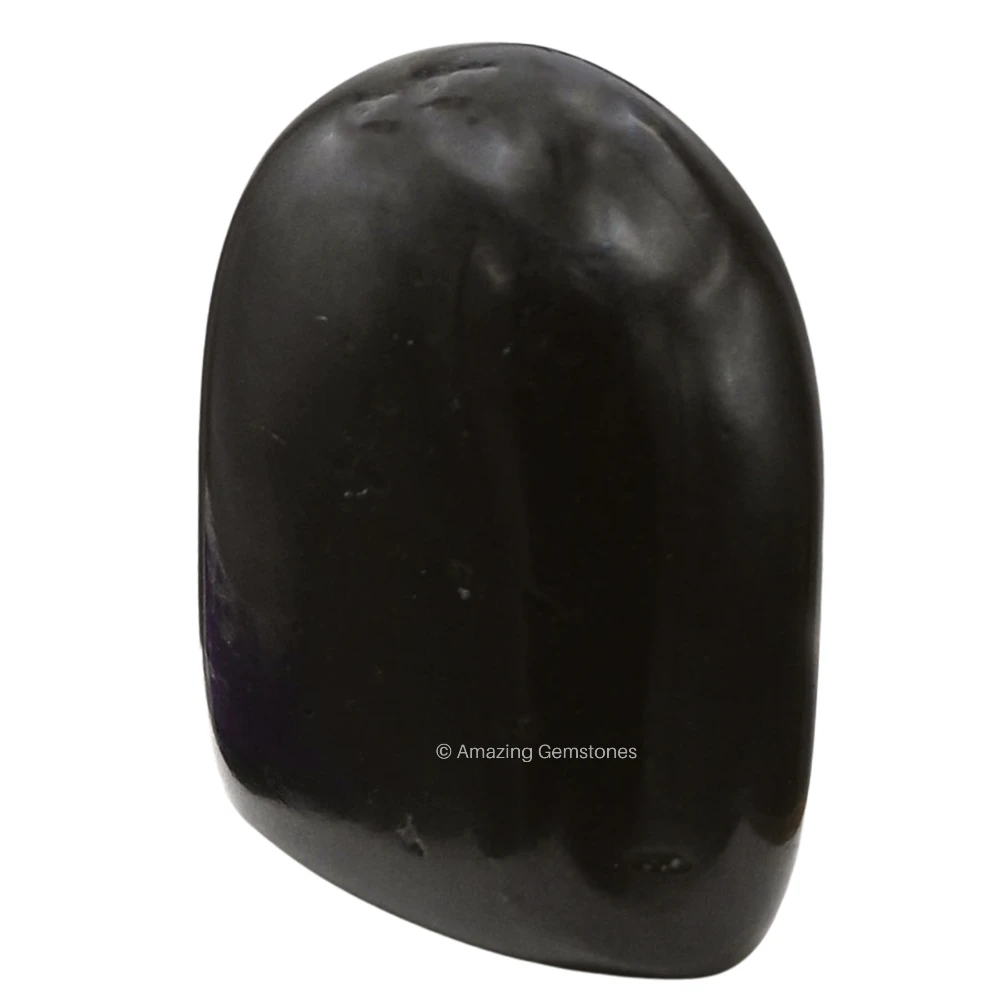 Black Tourmaline Standing Palm Stone (Large)