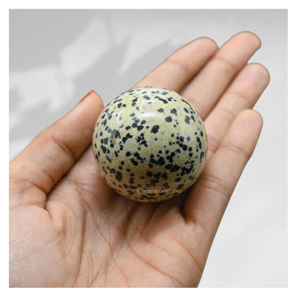 Dalmatian Jasper Sphere (1 Inch)