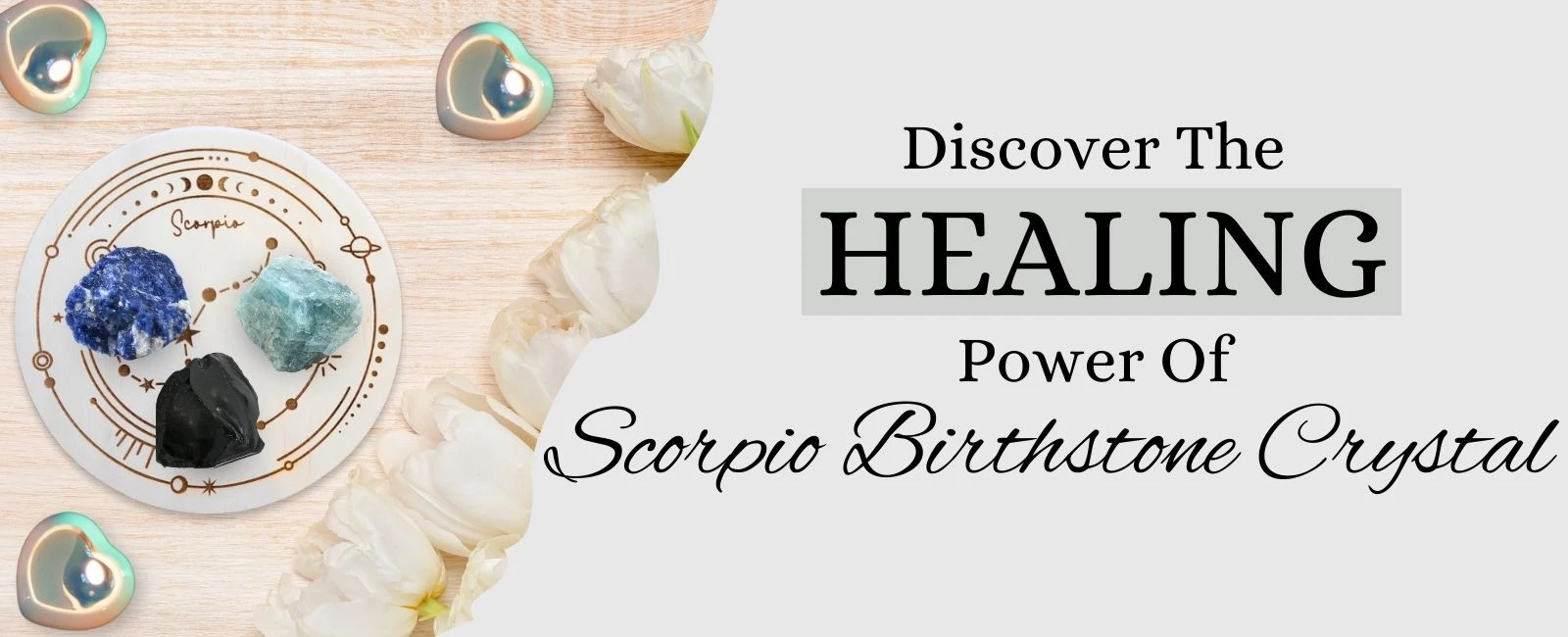 Scorpio's Shadow Realm: Healing Crystal Raw Stone Collection