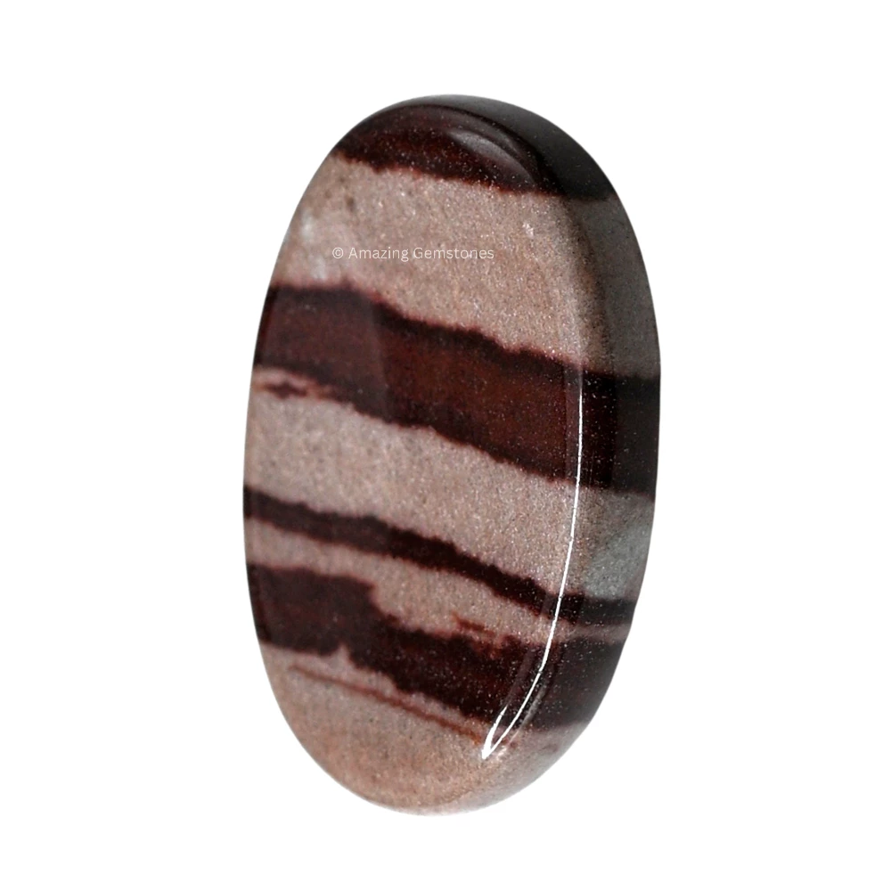 Narmada Shiva Lingam Worry Stone