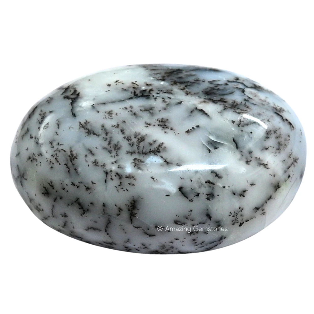 Dendrite Opal Palm Stone