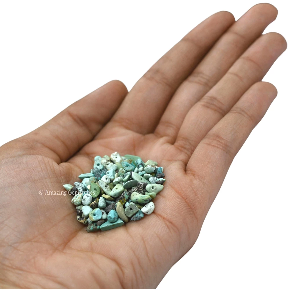 Turquoise Chips - Pre Drilled