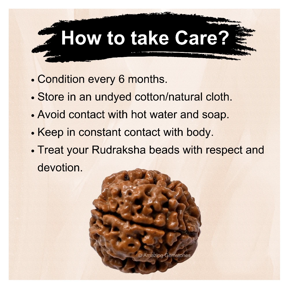 Authentic 4 Mukhi Rudraksha Bead