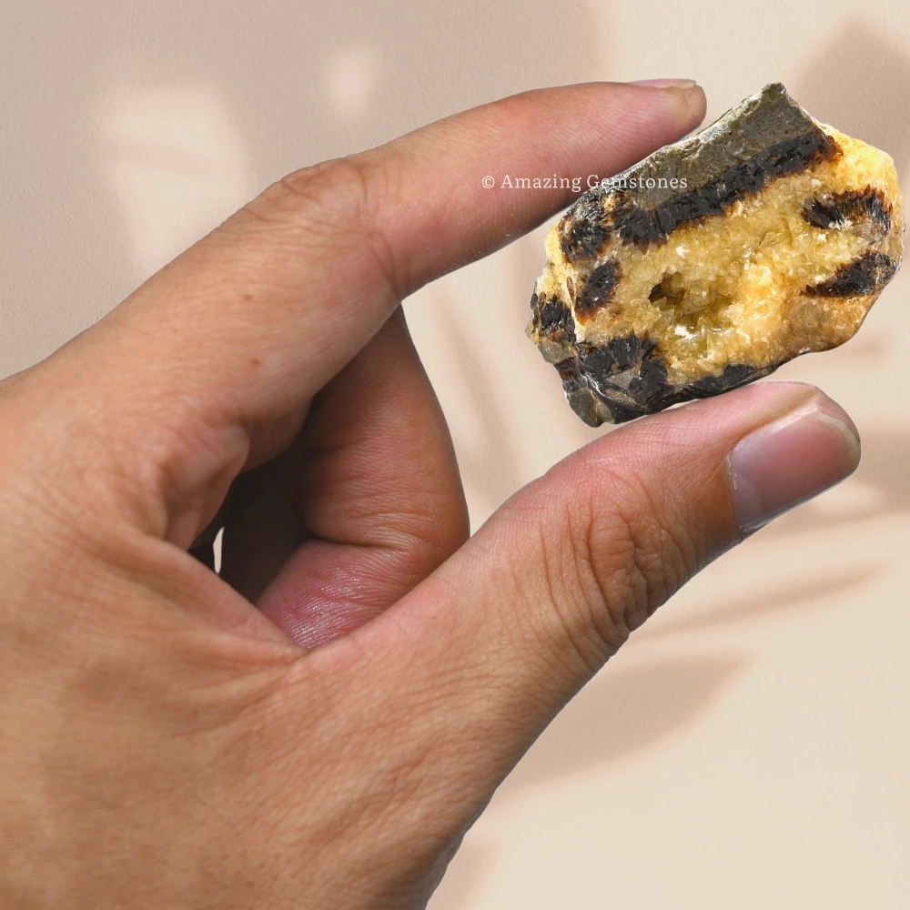 Septarian Raw Crystals (2 Pieces)