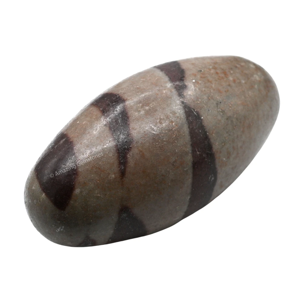 Narmadeshwar Shiva Lingam Stone(Unpolished) (1.5 Inch)