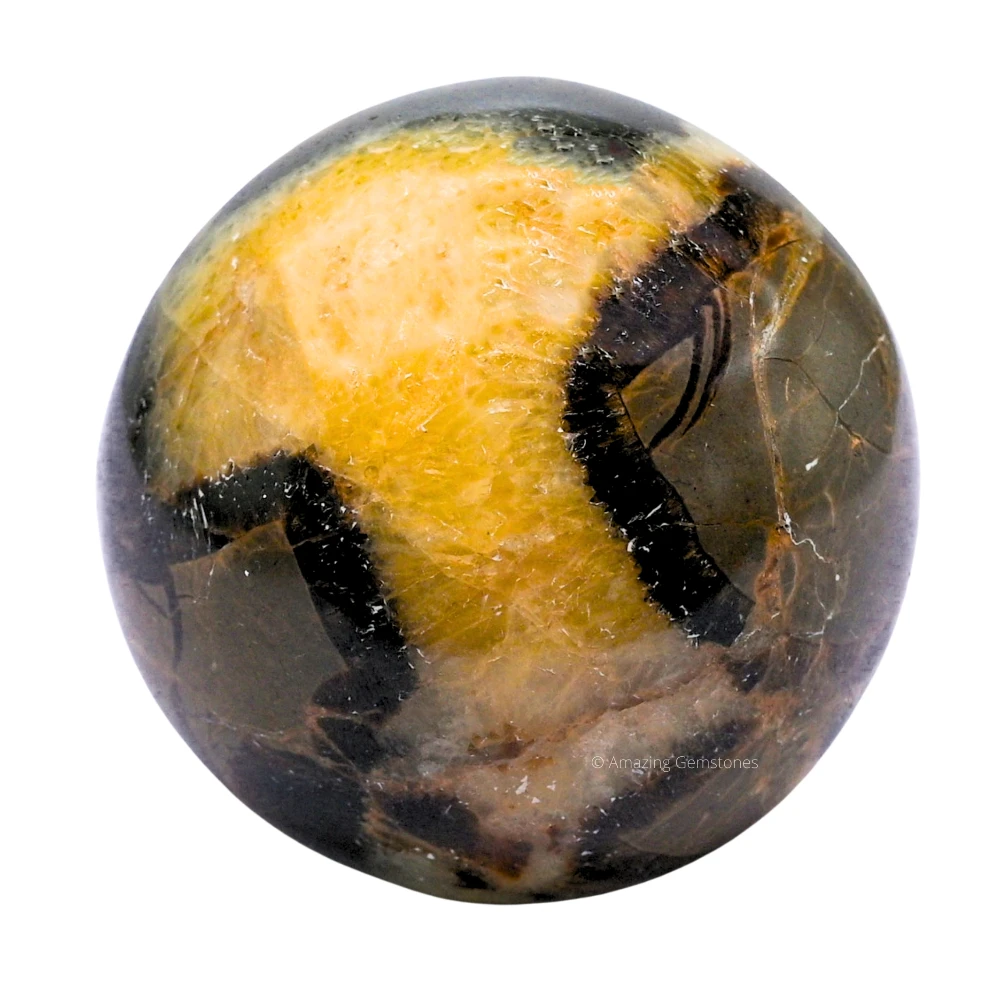 Large Septarian Sphere (2.5 Inch)