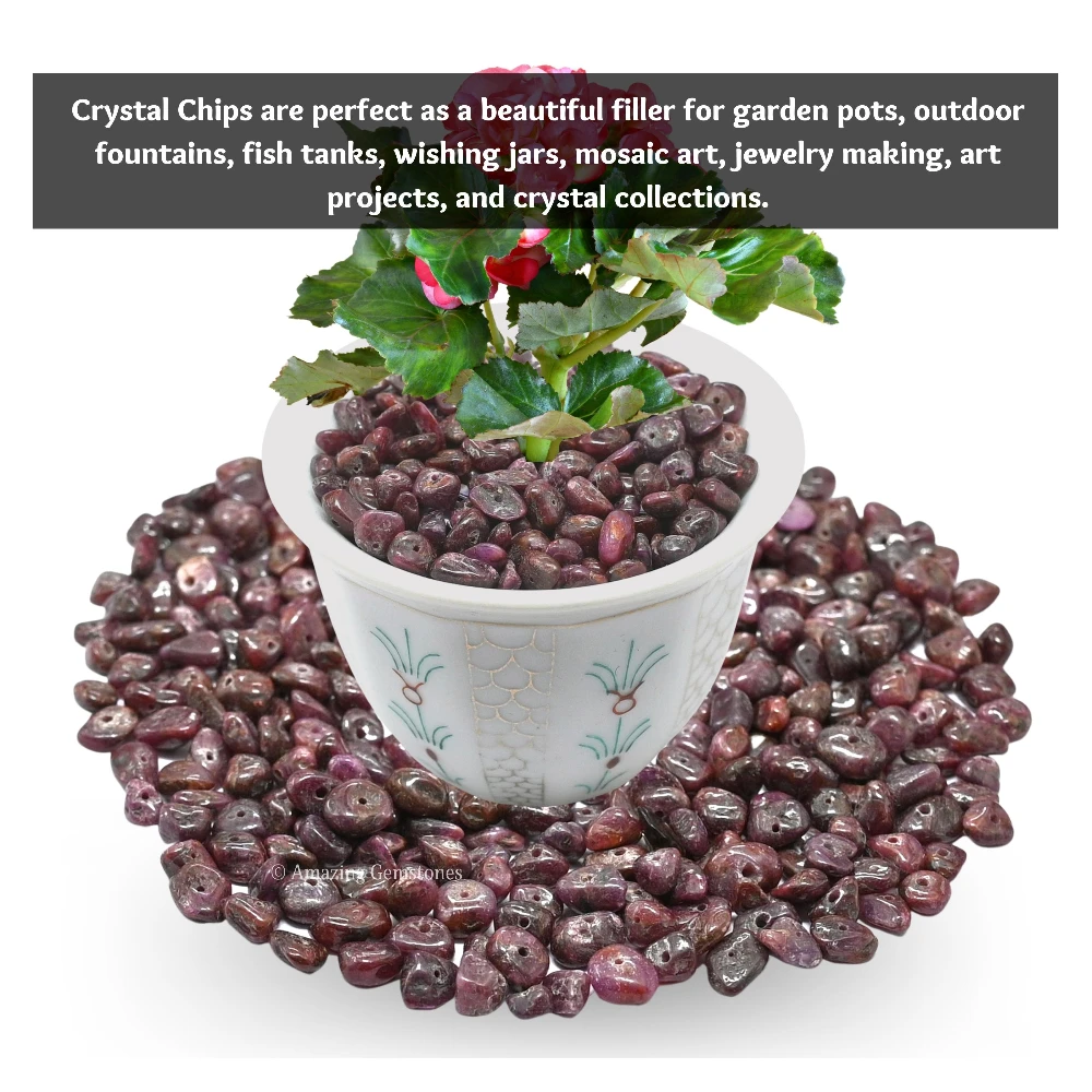 Ruby Chips - Pre Drilled