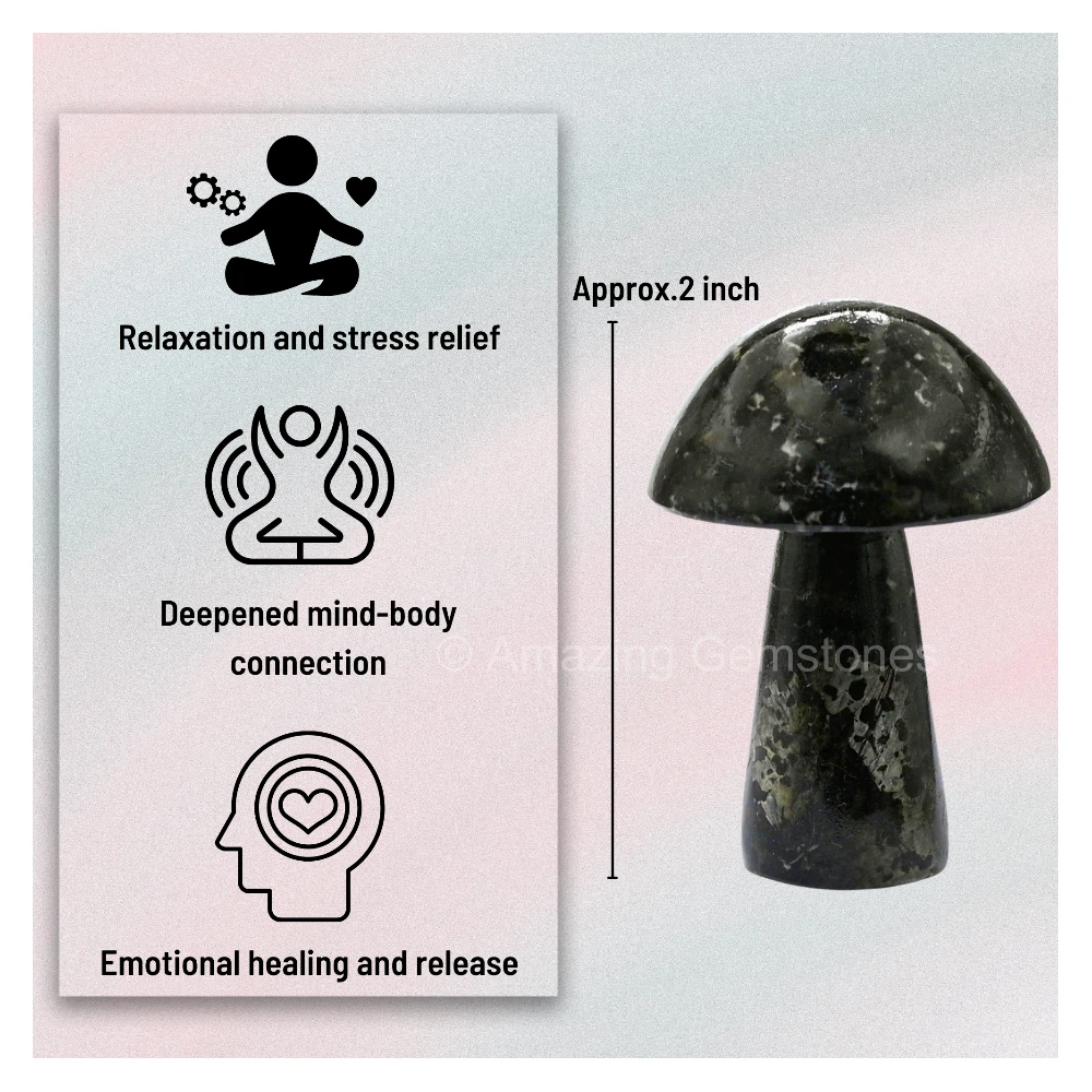 Nuummite Crystal Mushroom