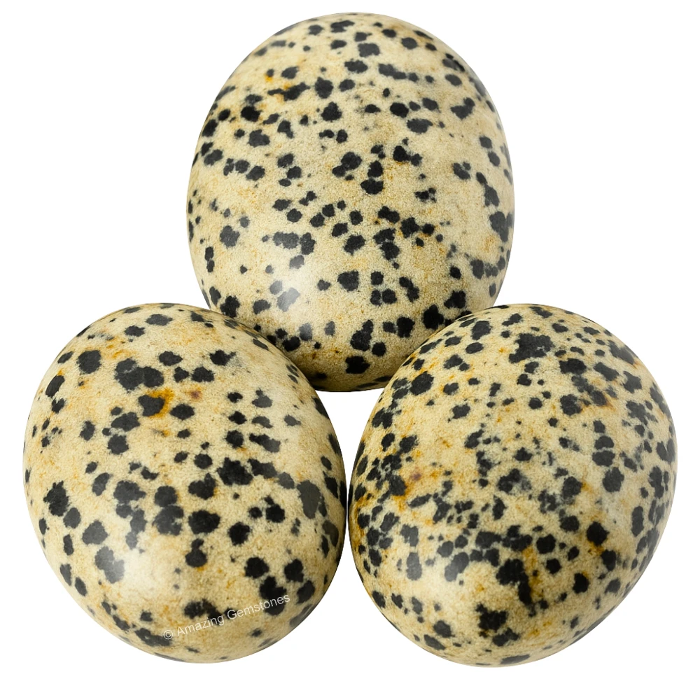 Dalmatian Jasper Palm Stone