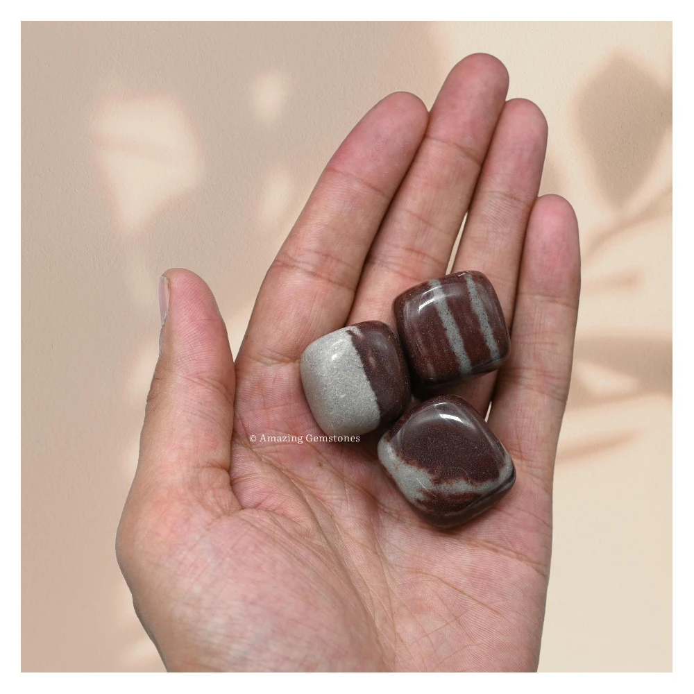 Tumbled Shiva Lingam Crystals Stones (1 oz)