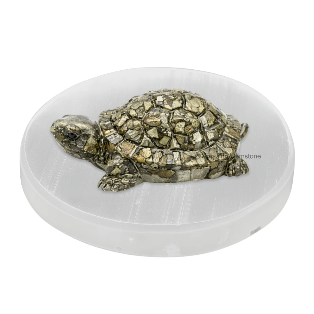 Pyrite Tortoise with Selenite Plate