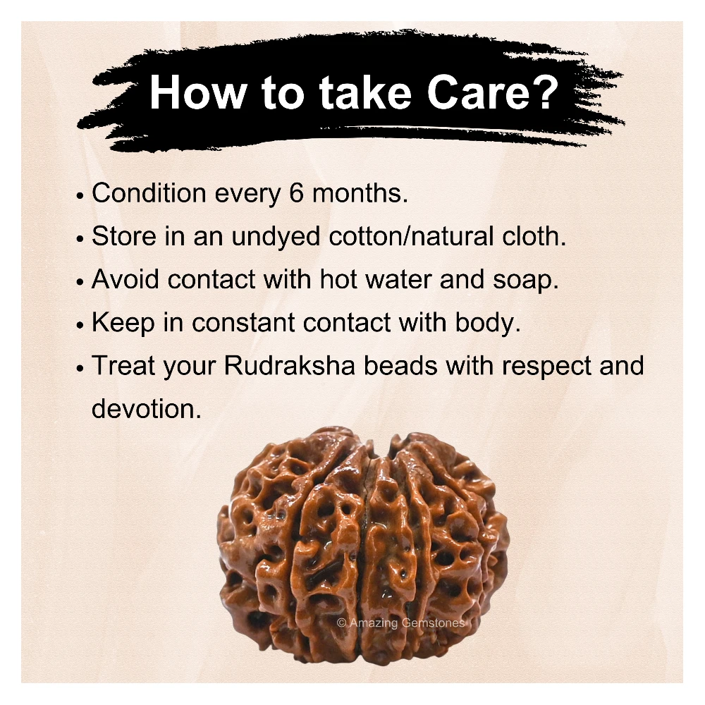 Authentic 10 Mukhi Rudraksha Bead