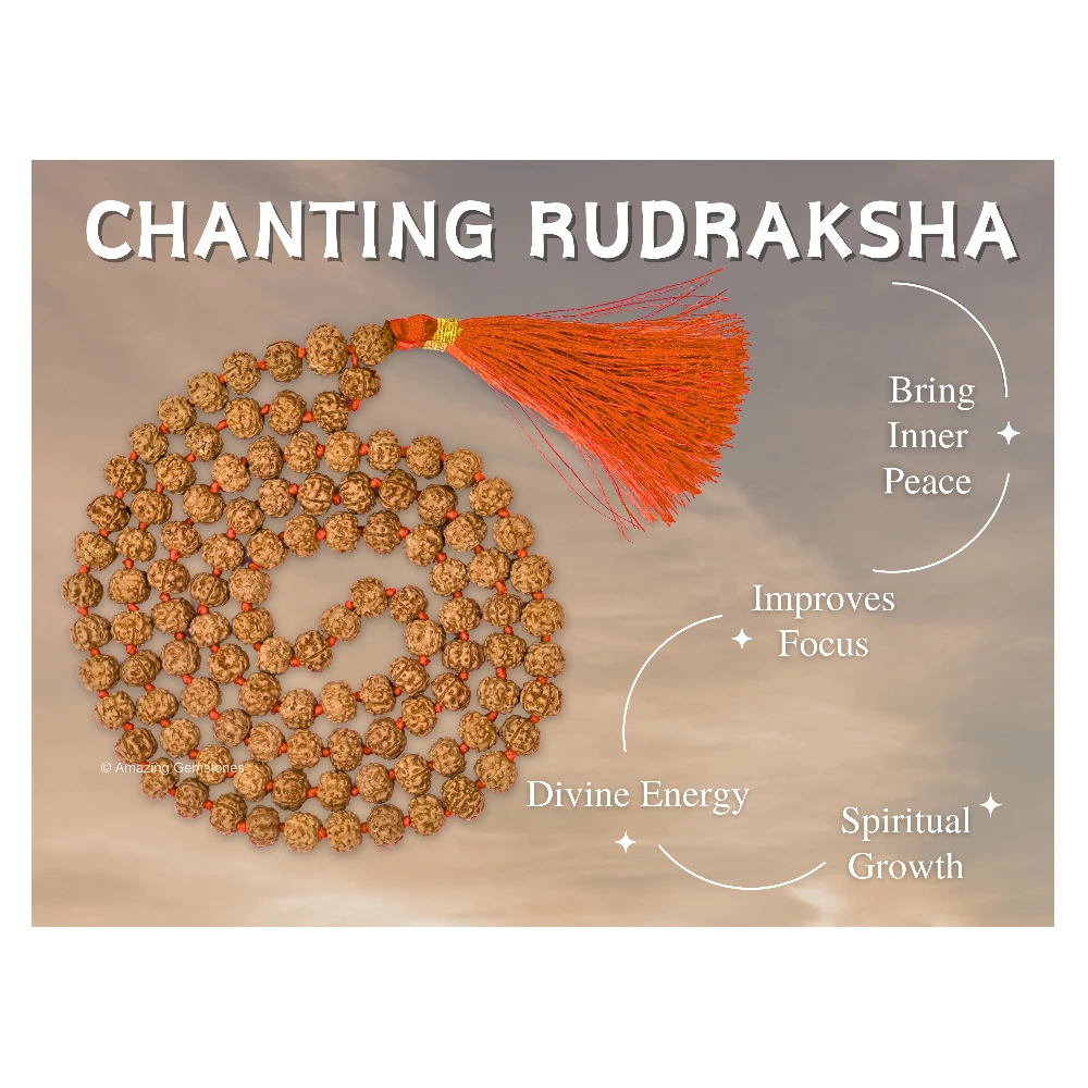 9mm Rudraksha Mala (Hand Knotted)