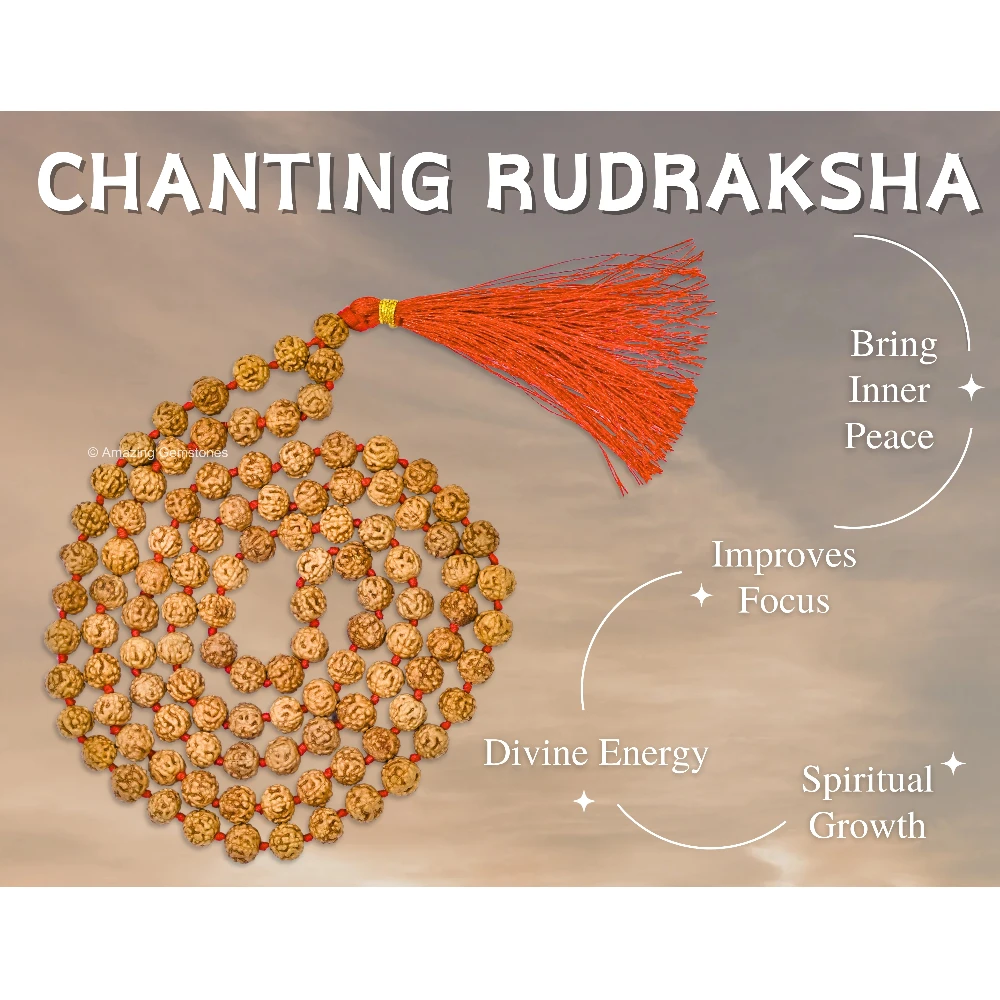 Rudraksha Mala (Hand Knotted)