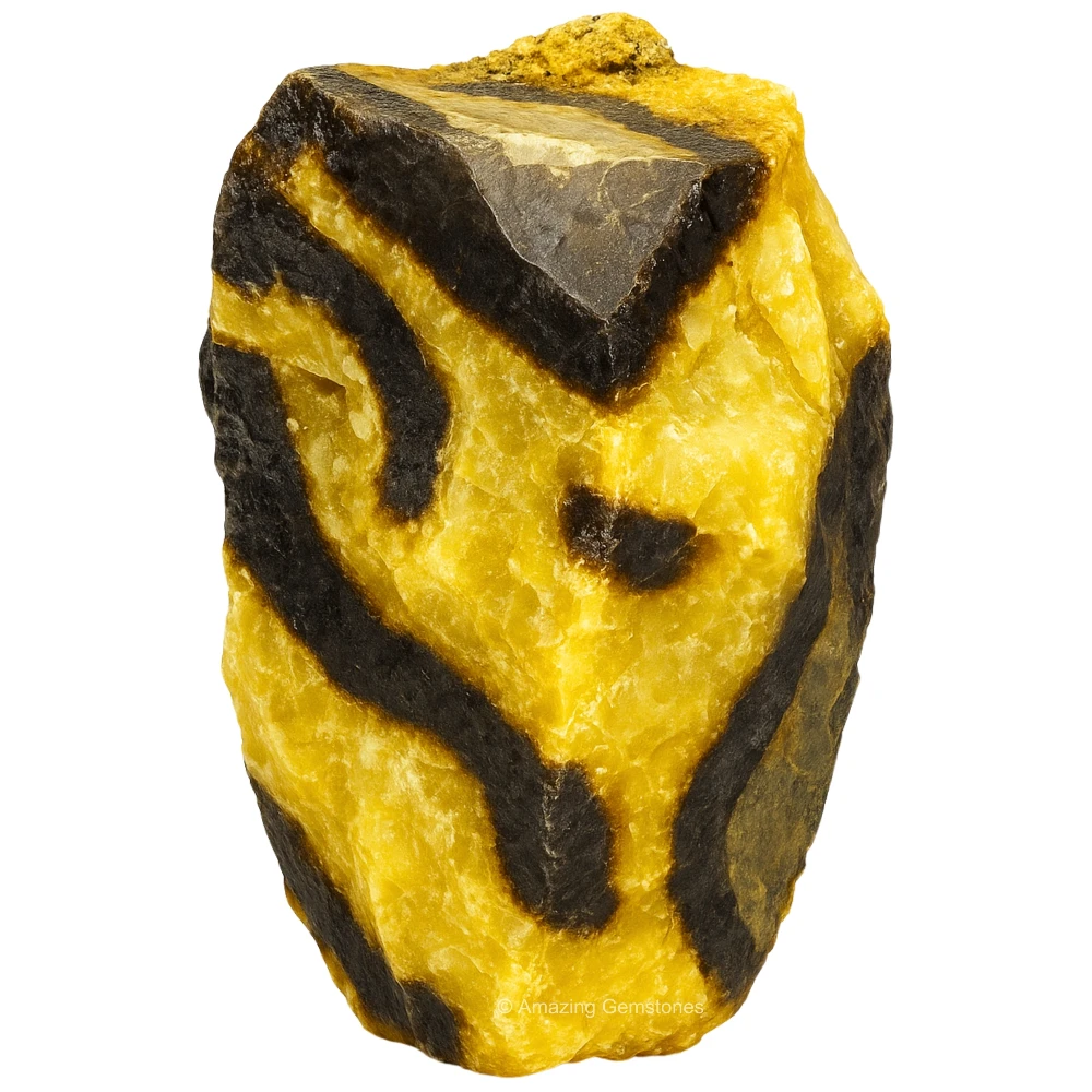 Septarian Raw Crystals (2 Pieces)