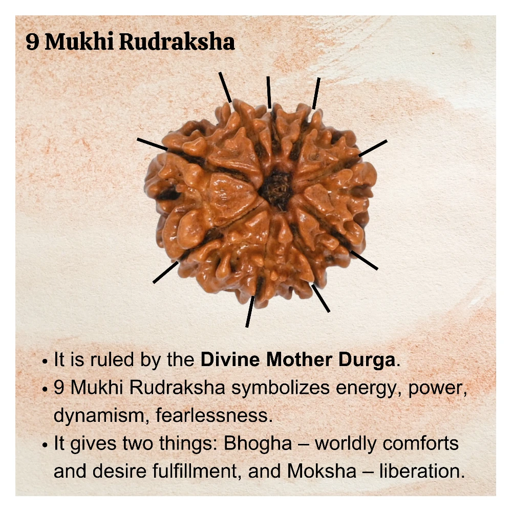 Authentic 9 Mukhi Rudraksha Bead