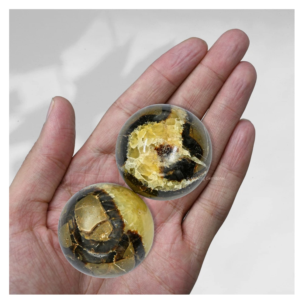 Septarian Sphere (1.5 Inch)