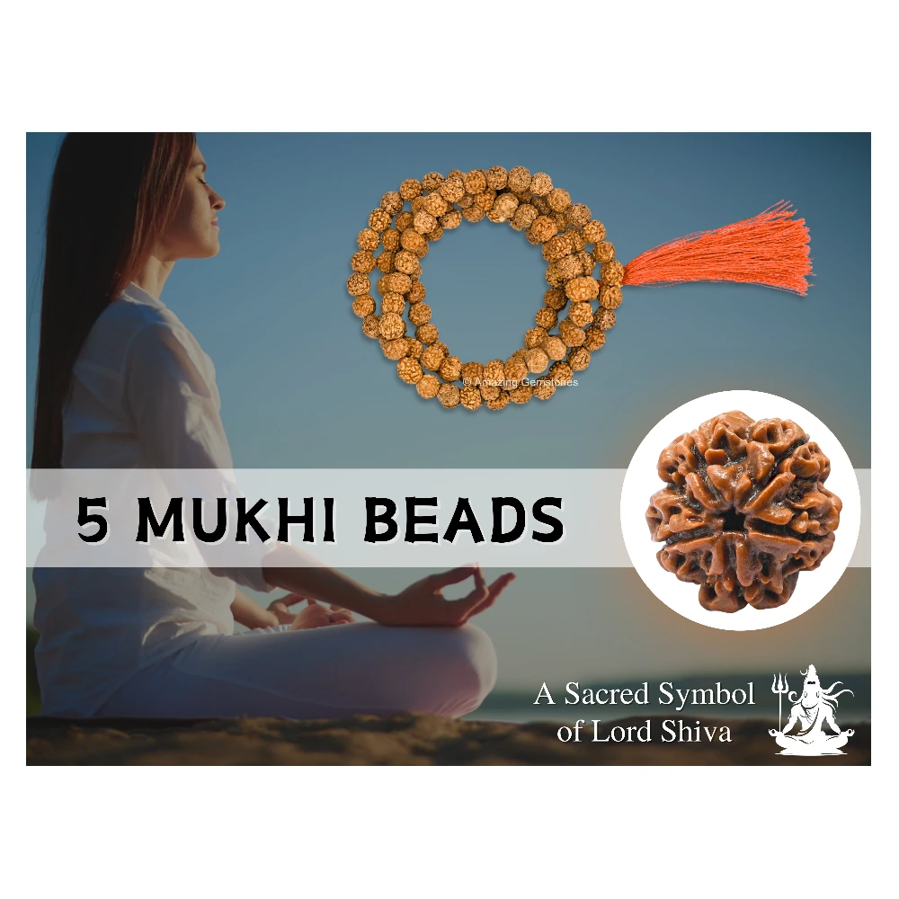 Rudraksha Mala (Without Knot)