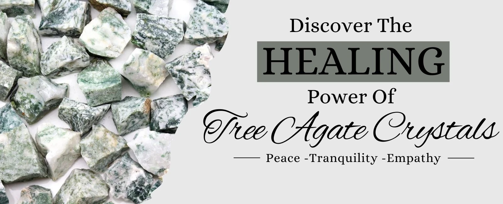 Tree Agate Benefits, Zodiac Sign, Healing Properties and Powers