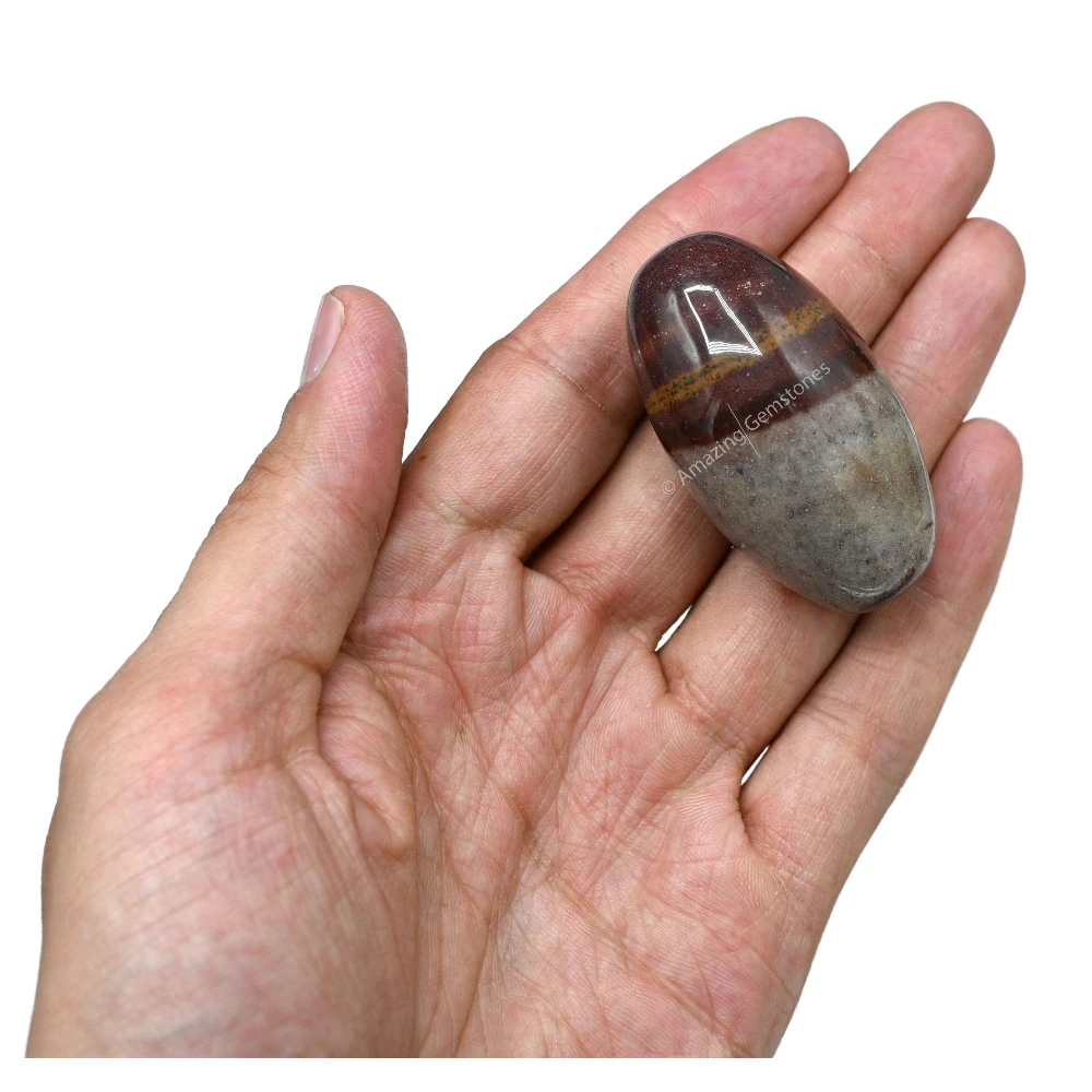 Narmadeshwar Shiva Lingam Stone(Polished) (2-3 Inch)