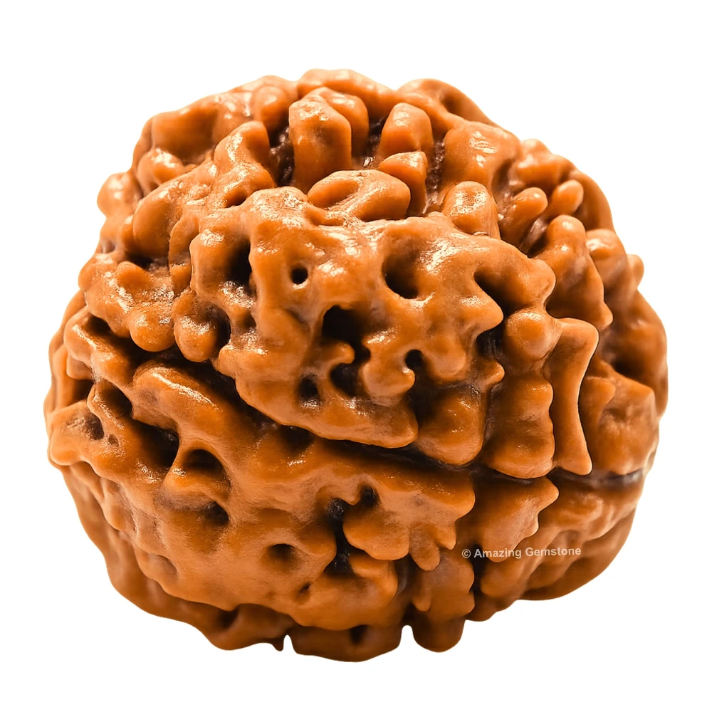 Authentic 4 Mukhi Rudraksha Bead