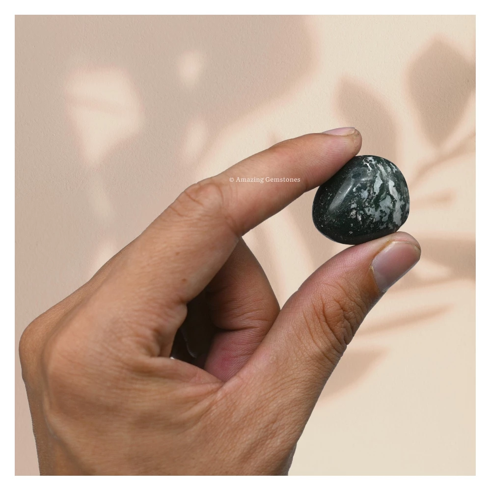 Tumbled Moss Agate Crystals Stones (1000+ Carats)