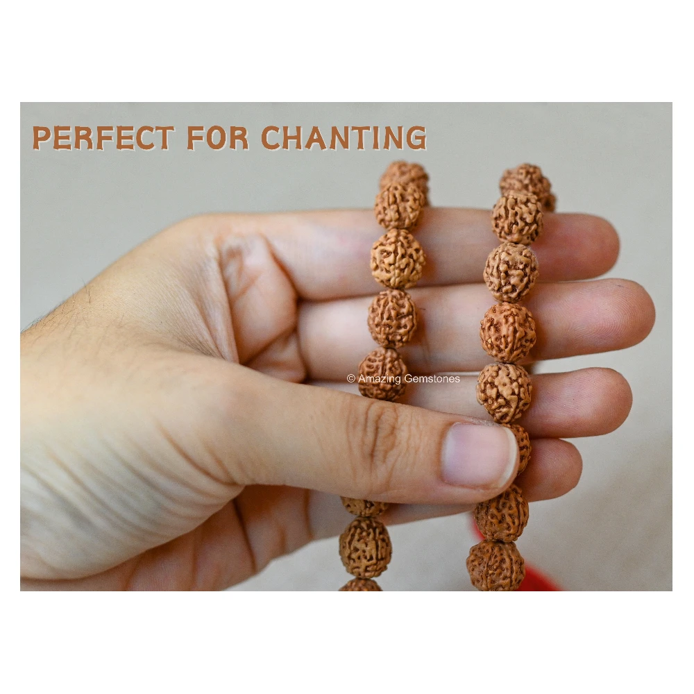 10mm Rudraksha Mala (Without Knot)