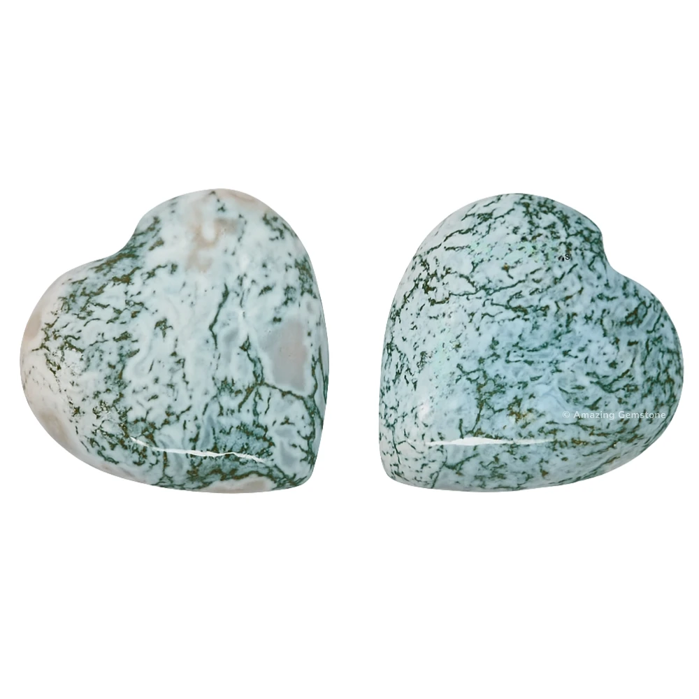 Tree Agate Heart (Pack of 2)