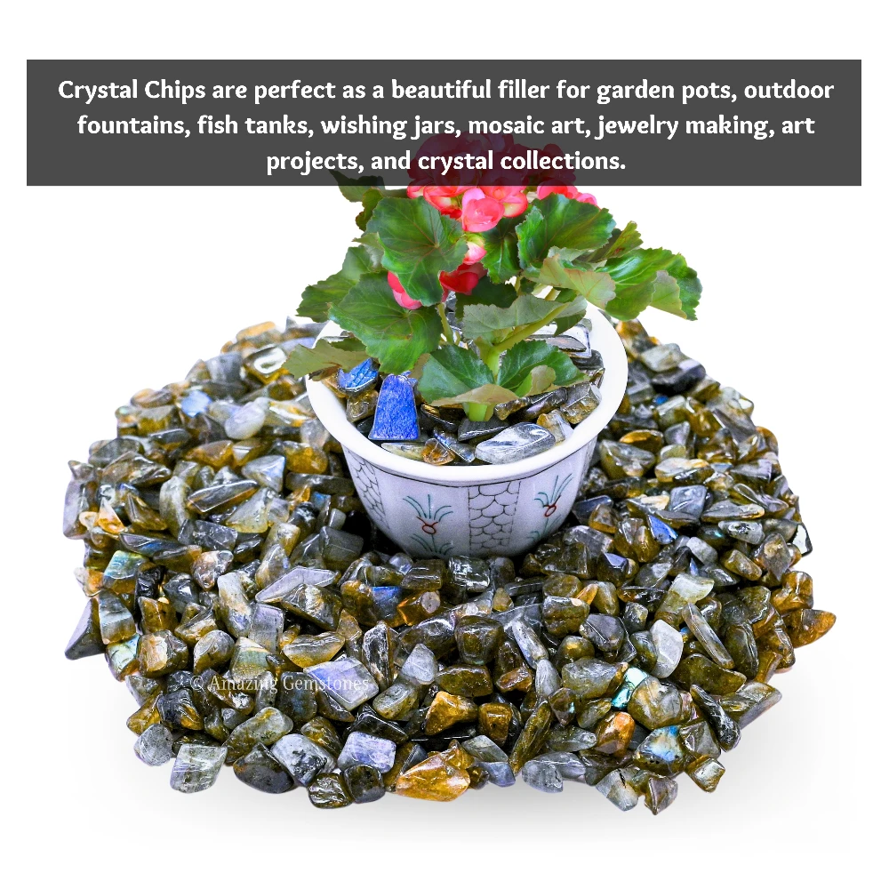 Labradorite Chips (1LB)