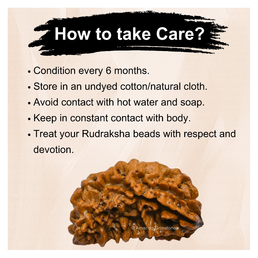 Authentic 1 Mukhi Rudraksha Bead