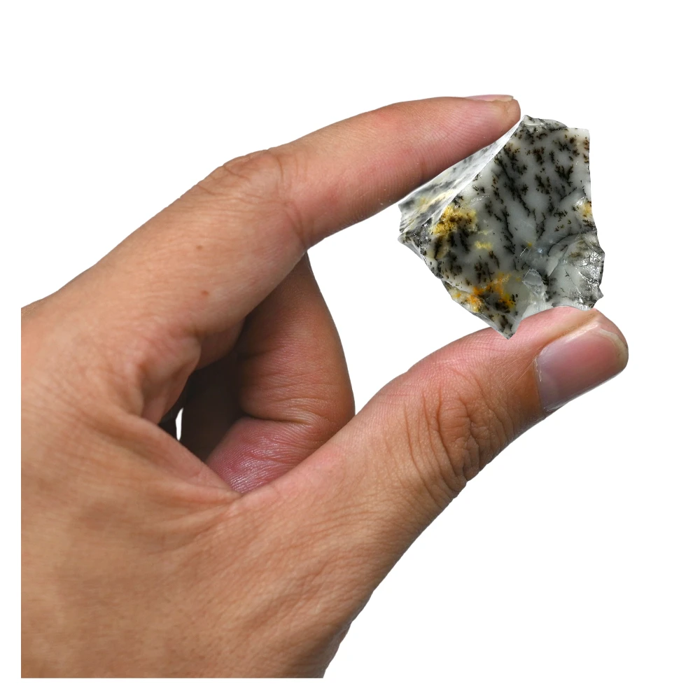 Dendrite Opal Raw Crystals (5 Pieces)