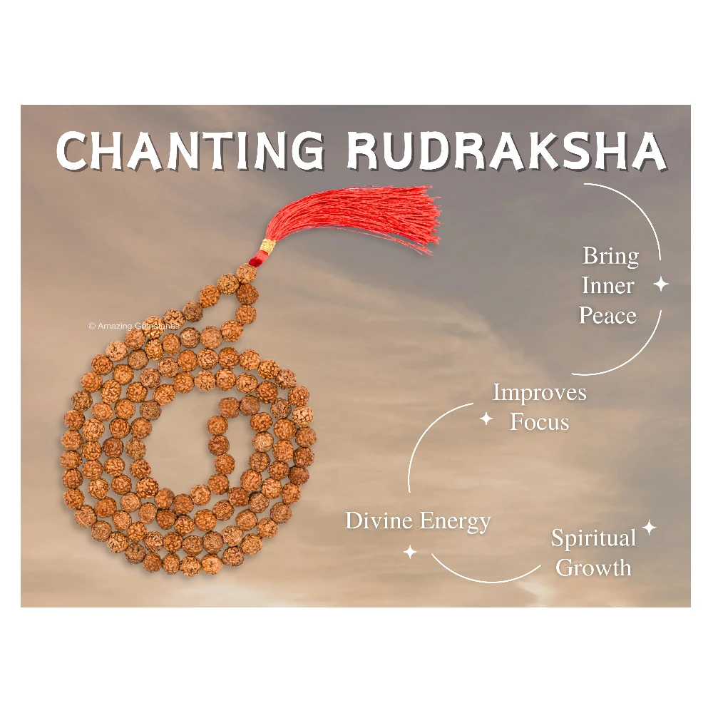 Rudraksha Mala (Without Knot)