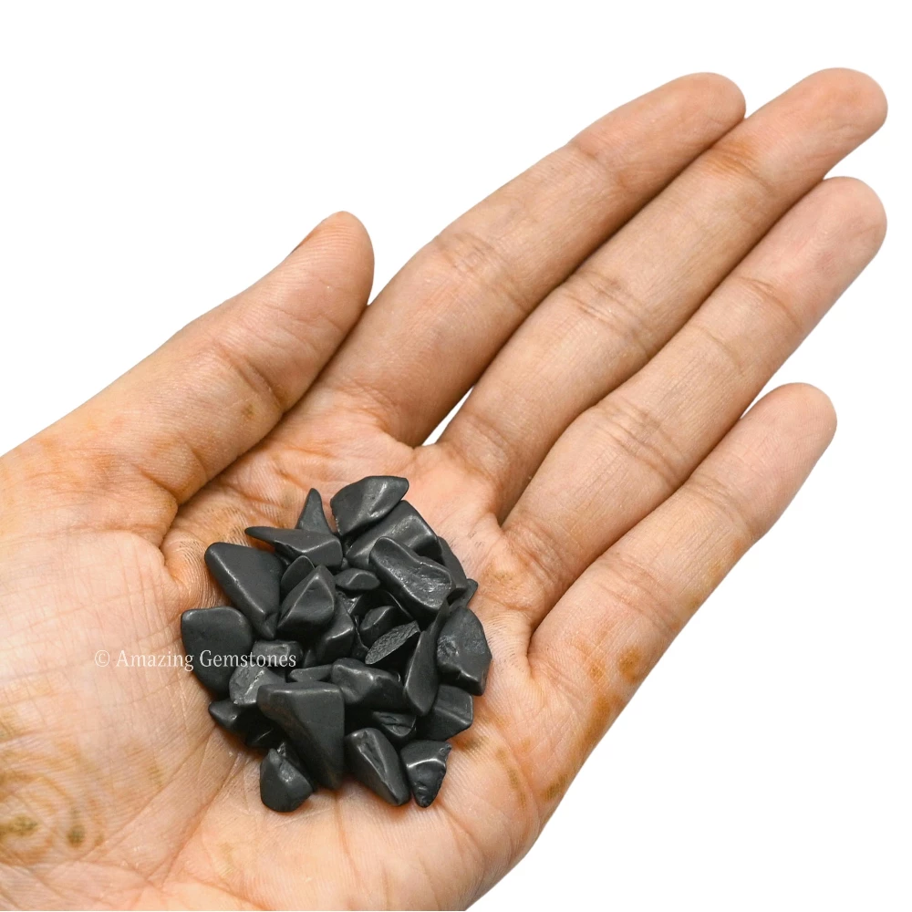Shungite Chips (1LB)