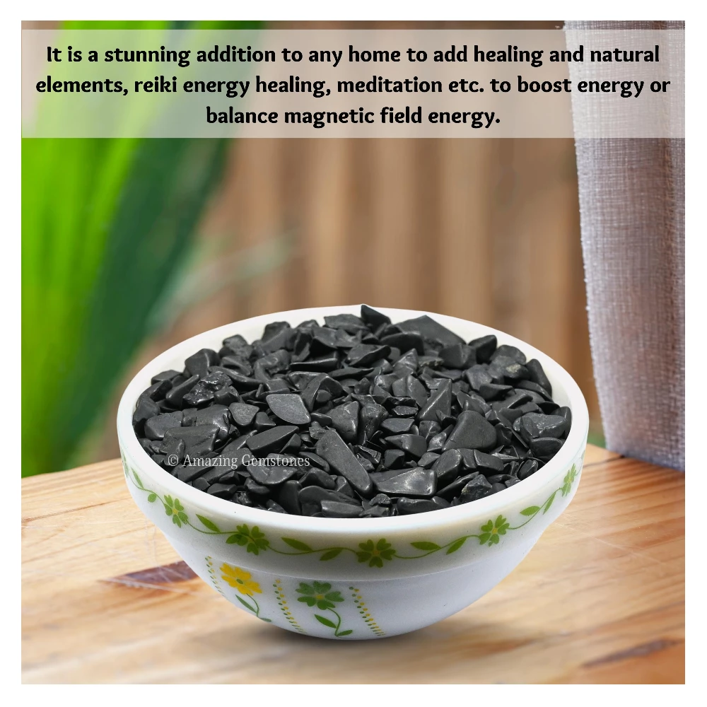 Shungite Chips (1LB)