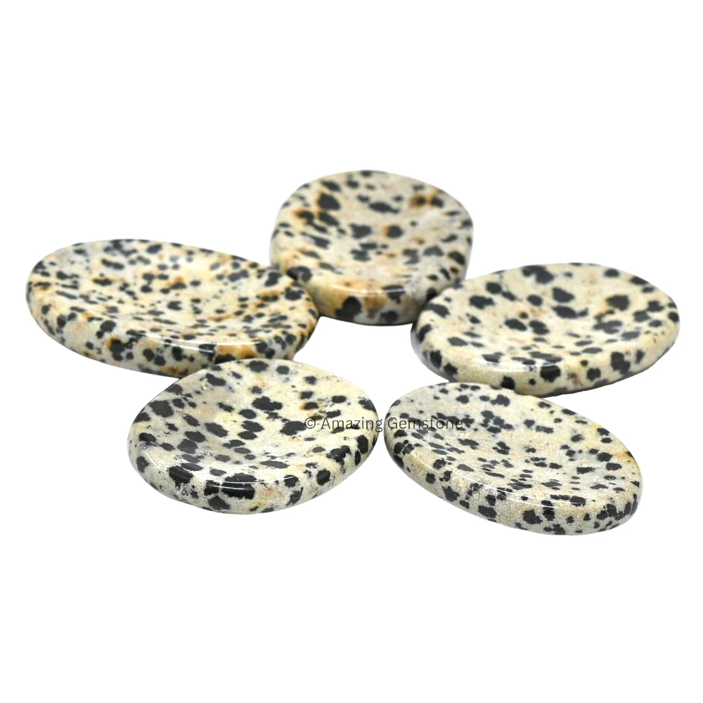 Dalmatian Jasper Worry Stone