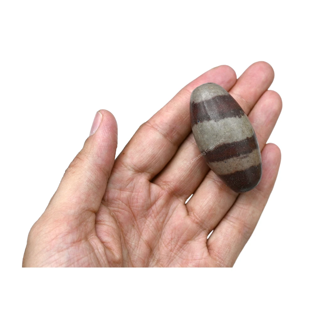 Narmadeshwar Shiva Lingam Stone(Unpolished) (2-3 Inch)