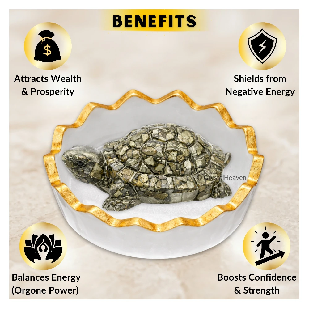 Pyrite Tortoise Kachhua with Selenite (Bowl)