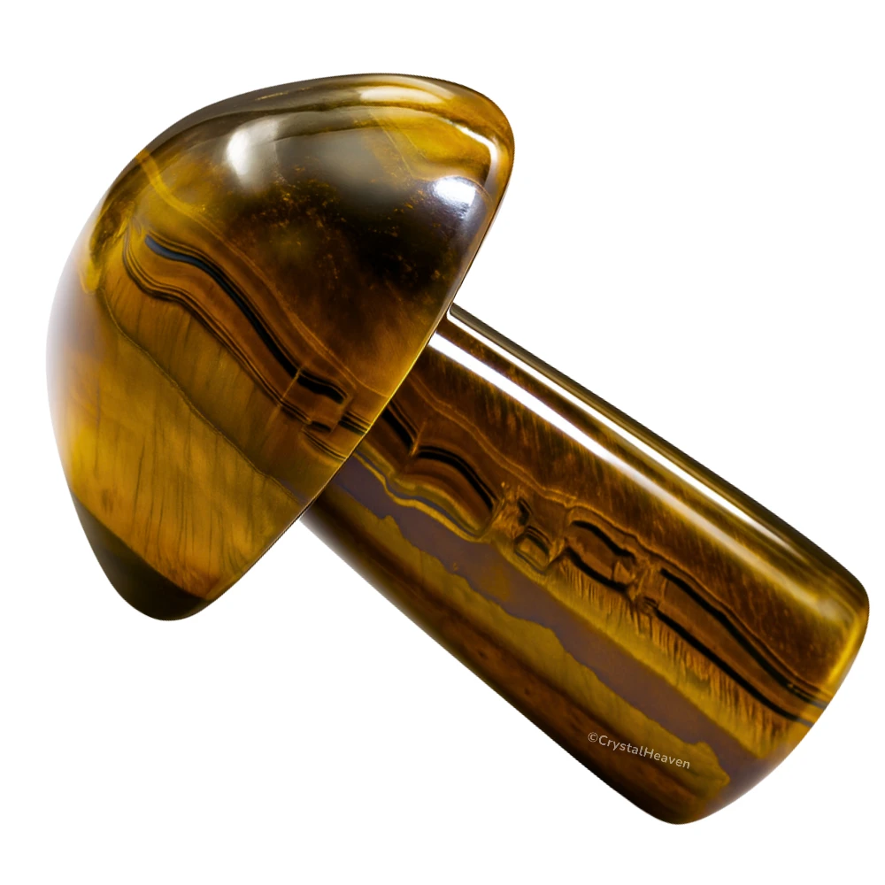 Tiger Eye Mushroom