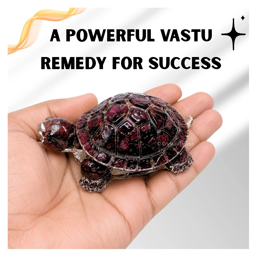 Garnet Tortoise Kachhua