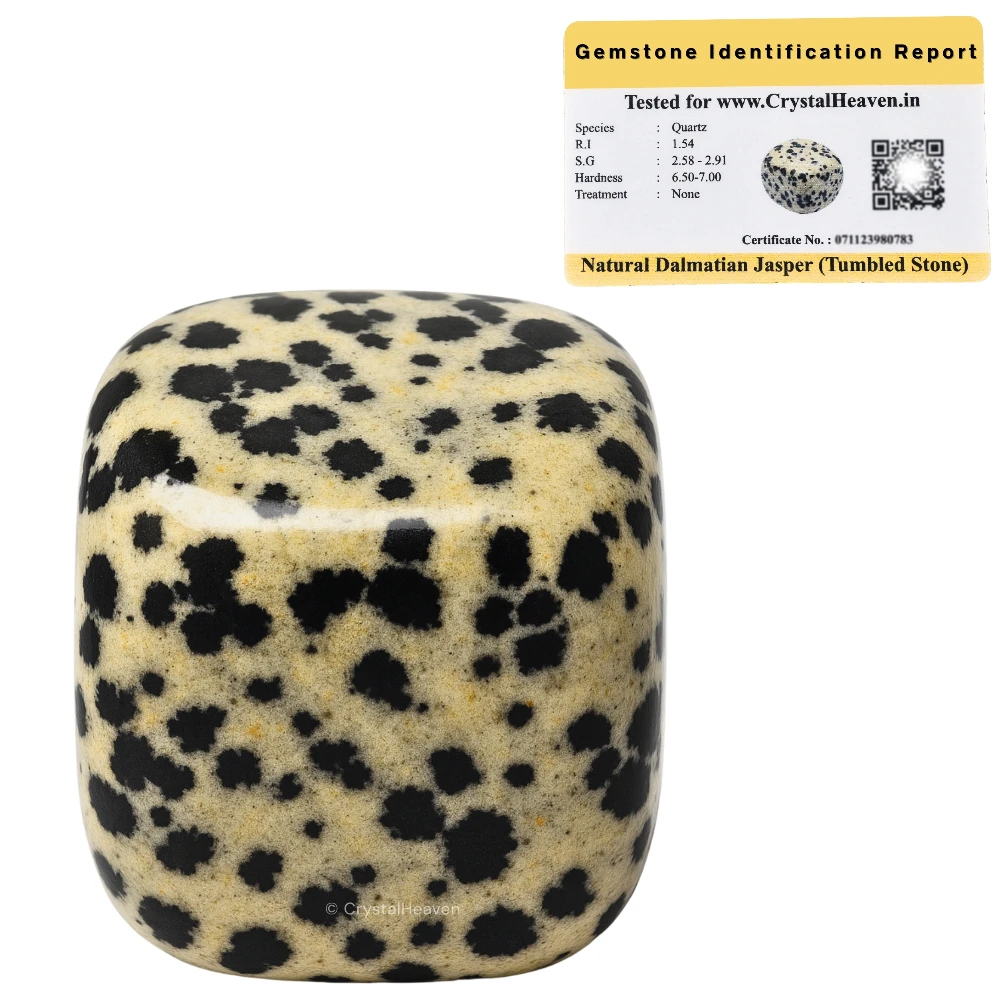 Tumbled Dalmatian jasper Stones (30 Gram)