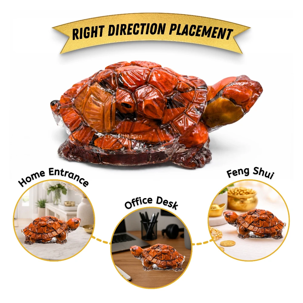 Red Jasper Tortoise Kachhua