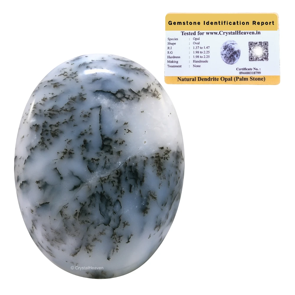 Dendrite Opal Palm Stone