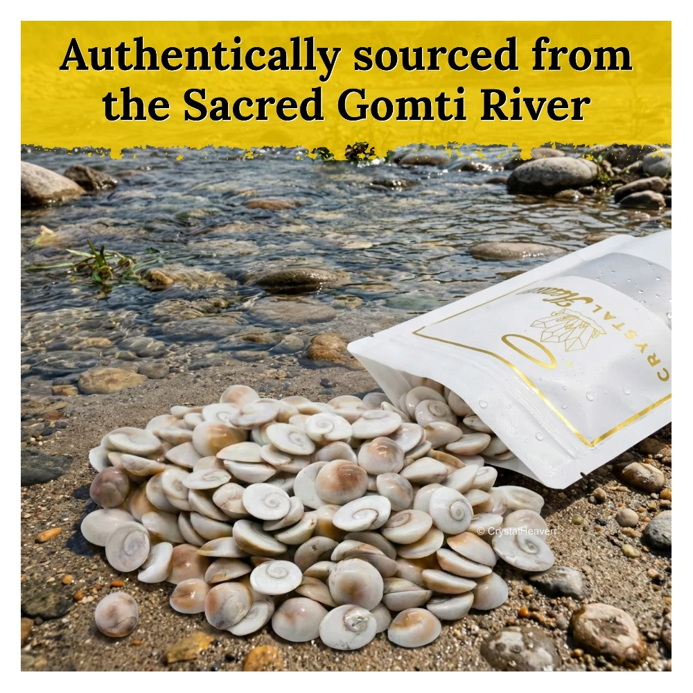 Gomati Chakra Beads - (20 mm, Set of 11)